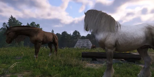 تصویر راهنمای بدست آوردن اسب در Kingdom Come Deliverance 2