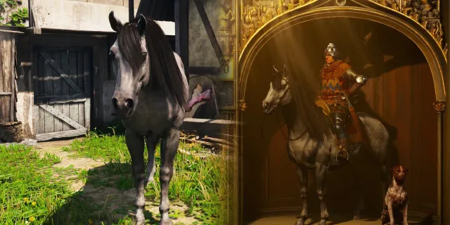 تصویر راهنمای دریافت اسب رایگان در ابتدای Kingdom Come: Deliverance 2