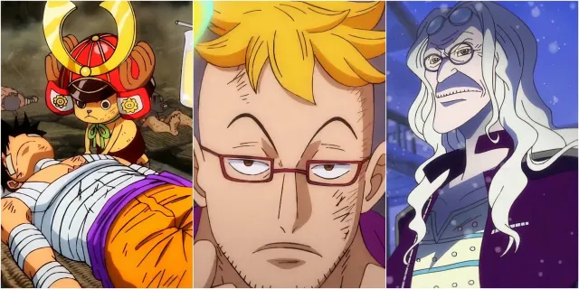 تصویر رتبه‌بندی ۸ پزشک برتر در سری وان پیس One Piece