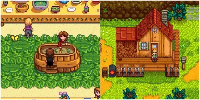 تصویر Stardew Valley : بهترین کارهایی که باید در تابستان انجام داد
