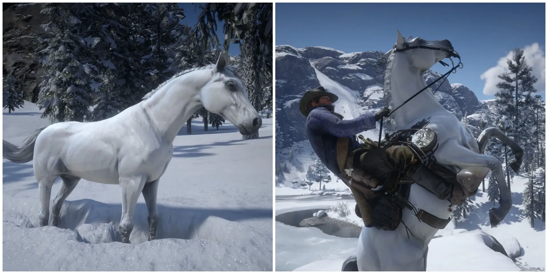راهنمای یافتن اسب سفید عربی در Red Dead Redemption 2