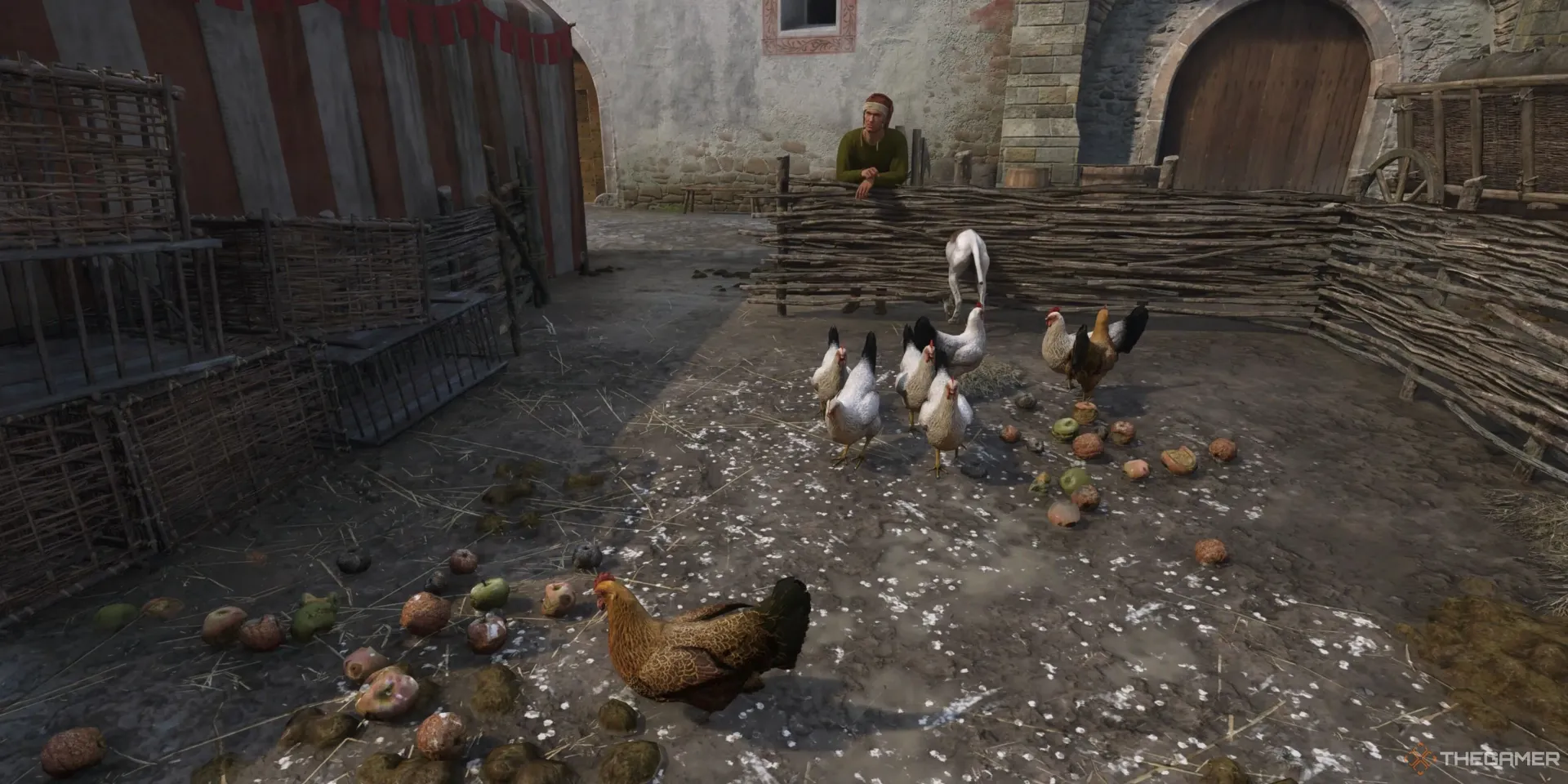 راهنمای به دست آوردن تخم مرغ در Kingdom Come: Deliverance 2