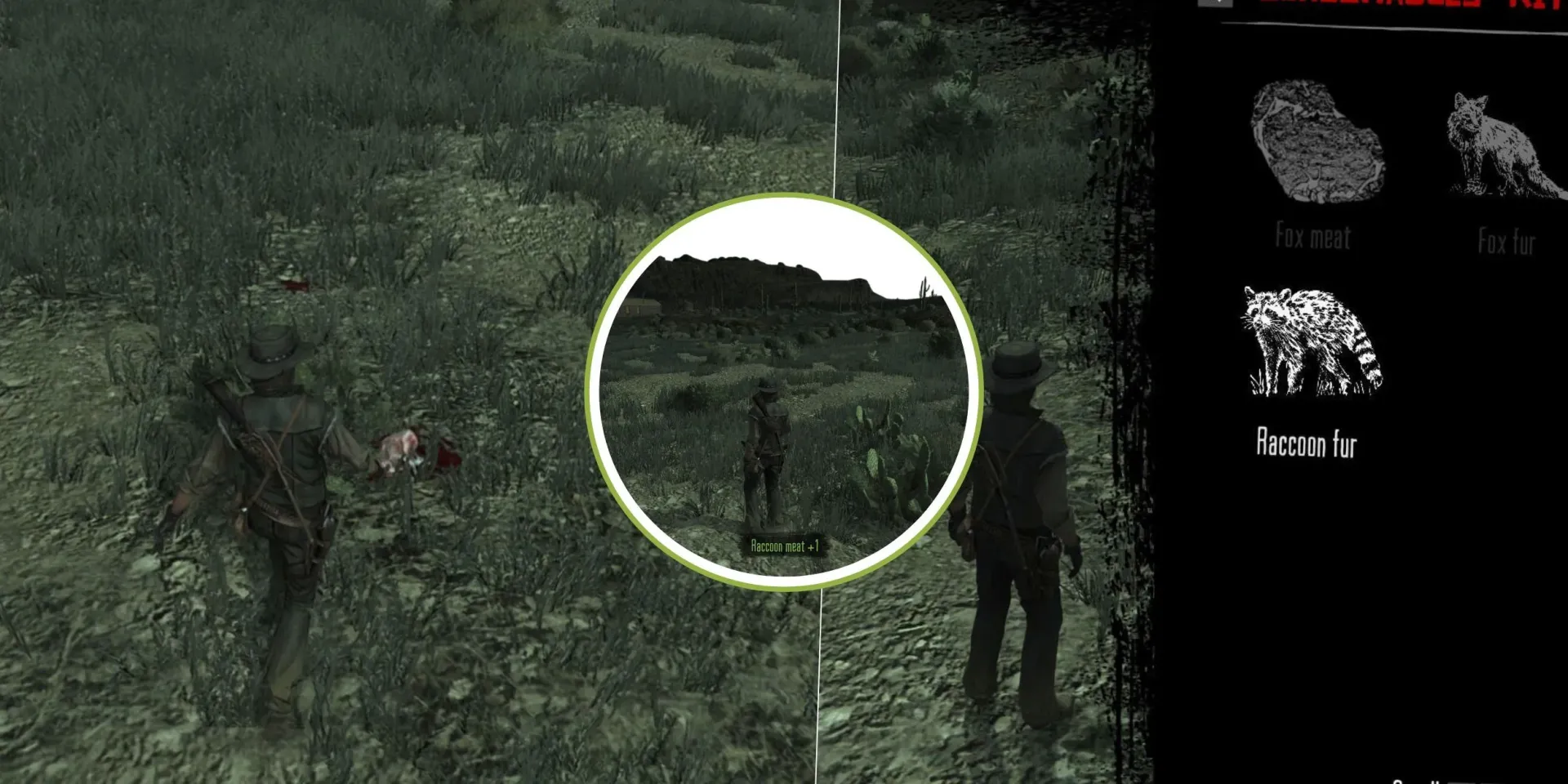 در Red Dead Redemption کجا راکون ها را پیدا کنیم