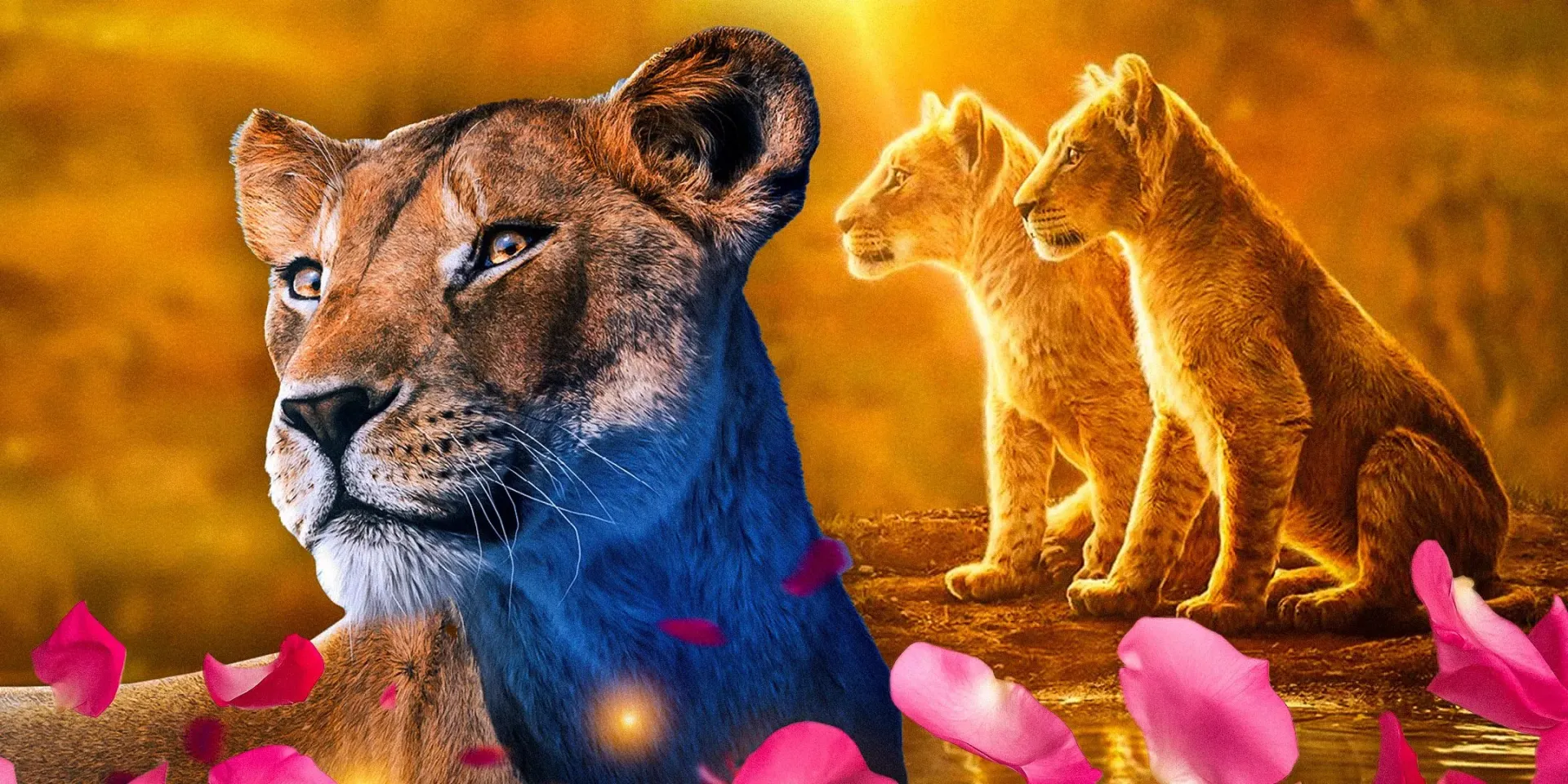 توضیح درخت خانوادگی موفاسا و سیمبا در شیر شاه The Lion King
