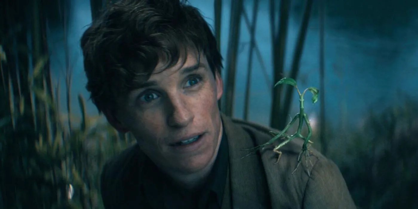 pickett the bowtruckle سوار بر Newt Scamander (ادی ردماین) در سری جانوران فوق العاده است.