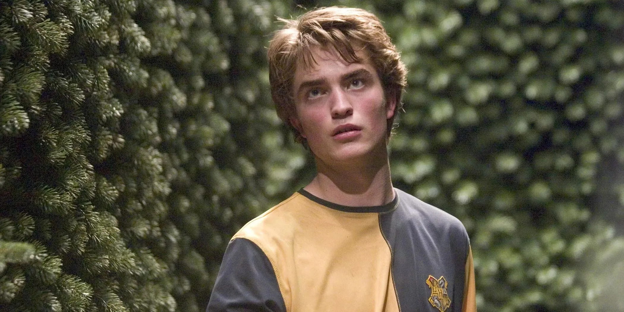 cedric diggory از هری پاتر و اجاق گاز آتش در هزارتوی.